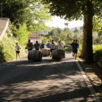 serrone 2014 (14)